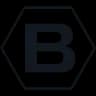 Basis logo