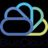 Blue logo