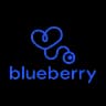 Blueberrypediatrics logo