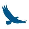 Blueskyinnovators logo