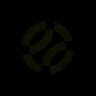 Conquest logo