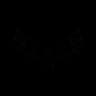 Icarus logo
