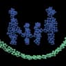 Phamily logo