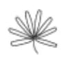Planteria logo