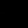 Ppgny logo